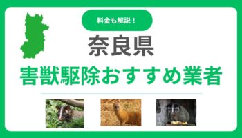 【奈良県】害獣駆除の優良おすすめ業者10選！料金相場と後悔しない選び方をプロが解説