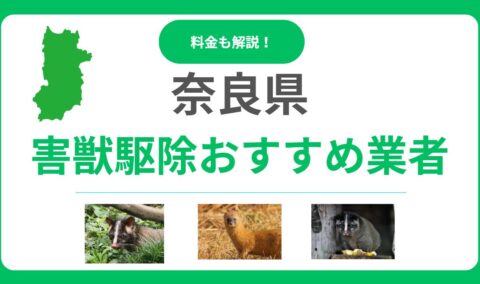 【奈良県】害獣駆除の優良おすすめ業者10選！料金相場と後悔しない選び方をプロが解説