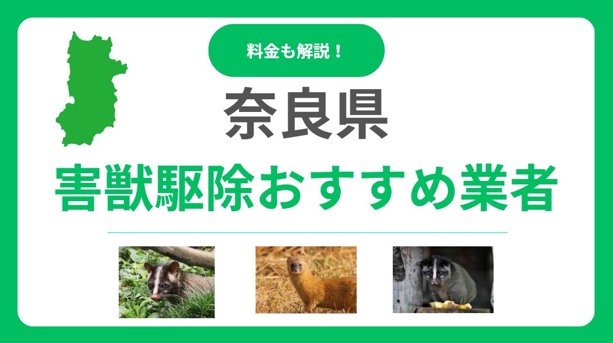 【奈良県】害獣駆除の優良おすすめ業者10選！料金相場と後悔しない選び方をプロが解説