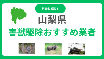 【2025年版】山梨県の害獣駆除業者を徹底比較！優良業者のおすすめポイントと料金相場