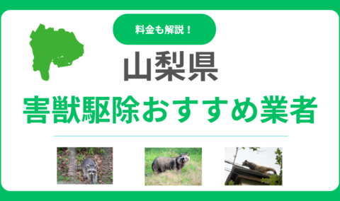 【2025年版】山梨県の害獣駆除業者を徹底比較！優良業者のおすすめポイントと料金相場