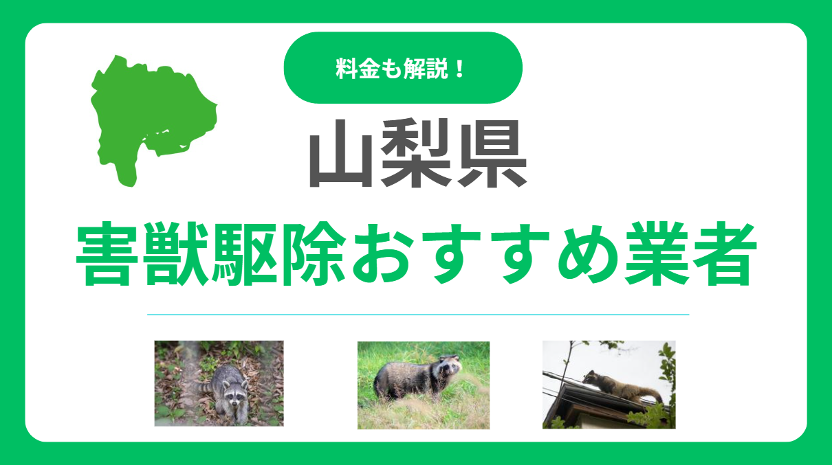 【2025年版】山梨県の害獣駆除業者を徹底比較！優良業者のおすすめポイントと料金相場