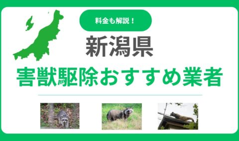 【2025年最新】新潟県の害獣駆除おすすめ業者10選｜料金相場と優良業者の見分け方