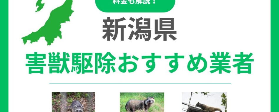 【2025年最新】新潟県の害獣駆除おすすめ業者10選｜料金相場と優良業者の見分け方