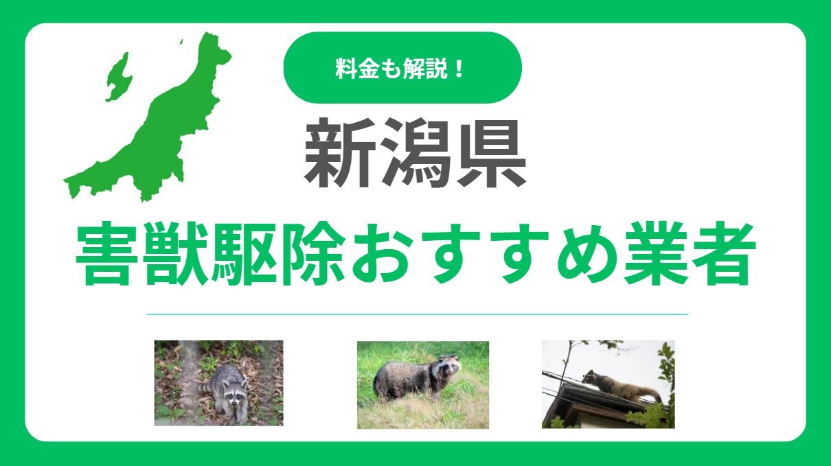 【2025年最新】新潟県の害獣駆除おすすめ業者10選｜料金相場と優良業者の見分け方