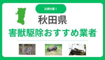 【秋田県】おすすめ害獣駆除業者9選を比較！料金の目安と信頼できる会社の選び方