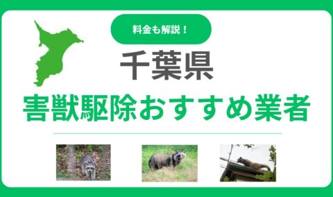 千葉県のおすすめ害獣駆除業者17選を徹底比較！料金相場と優良業者の見極め方