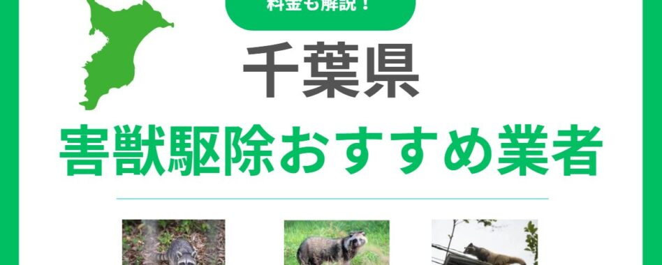 千葉県のおすすめ害獣駆除業者17選を徹底比較！料金相場と優良業者の見極め方