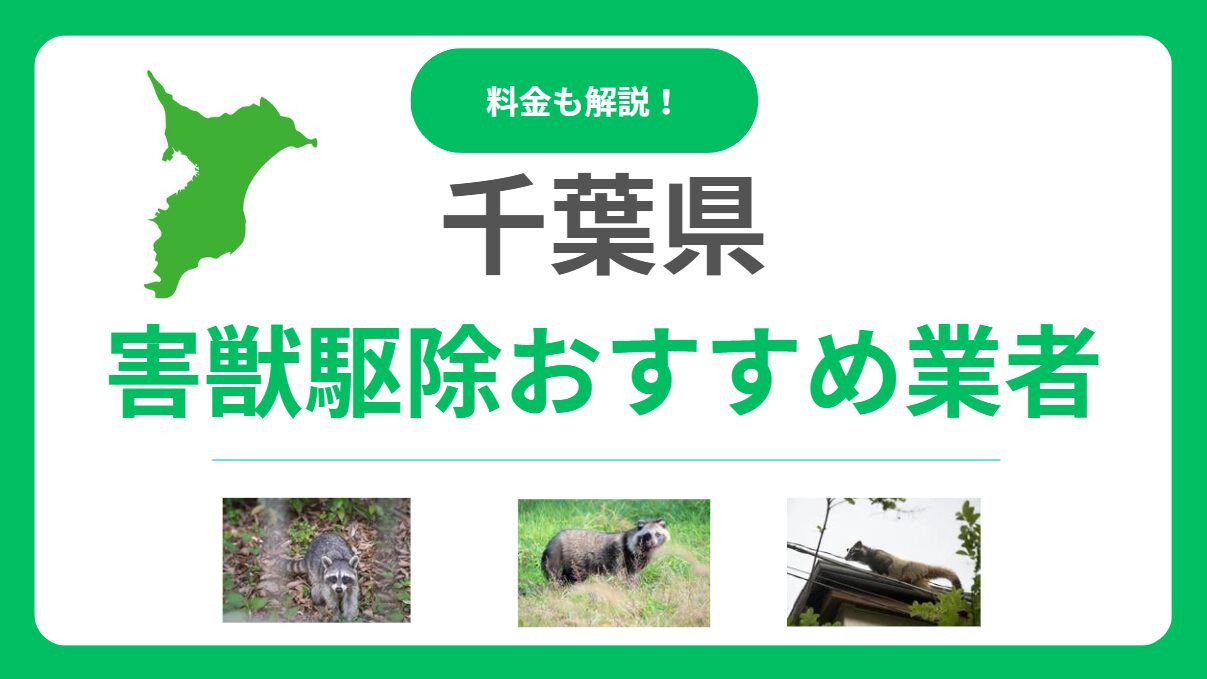 千葉県のおすすめ害獣駆除業者17選を徹底比較！料金相場と優良業者の見極め方