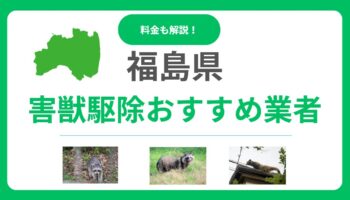 福島県の優良害獣駆除業者15選！後悔しない比較ポイントと費用感を解説
