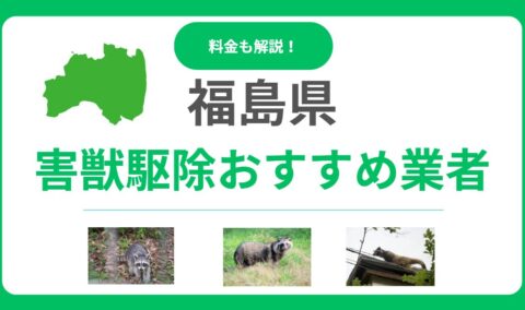 福島県の優良害獣駆除業者15選！後悔しない比較ポイントと費用感を解説