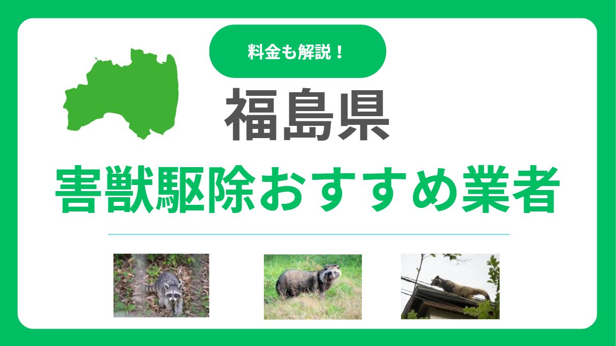 福島県の優良害獣駆除業者15選！後悔しない比較ポイントと費用感を解説