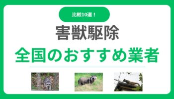 害獣駆除業者おすすめ10選！失敗しない選び方と料金相場を徹底比較！【全国対応】