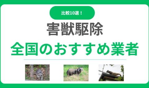 害獣駆除業者おすすめ10選！失敗しない選び方と料金相場を徹底比較！【全国対応】