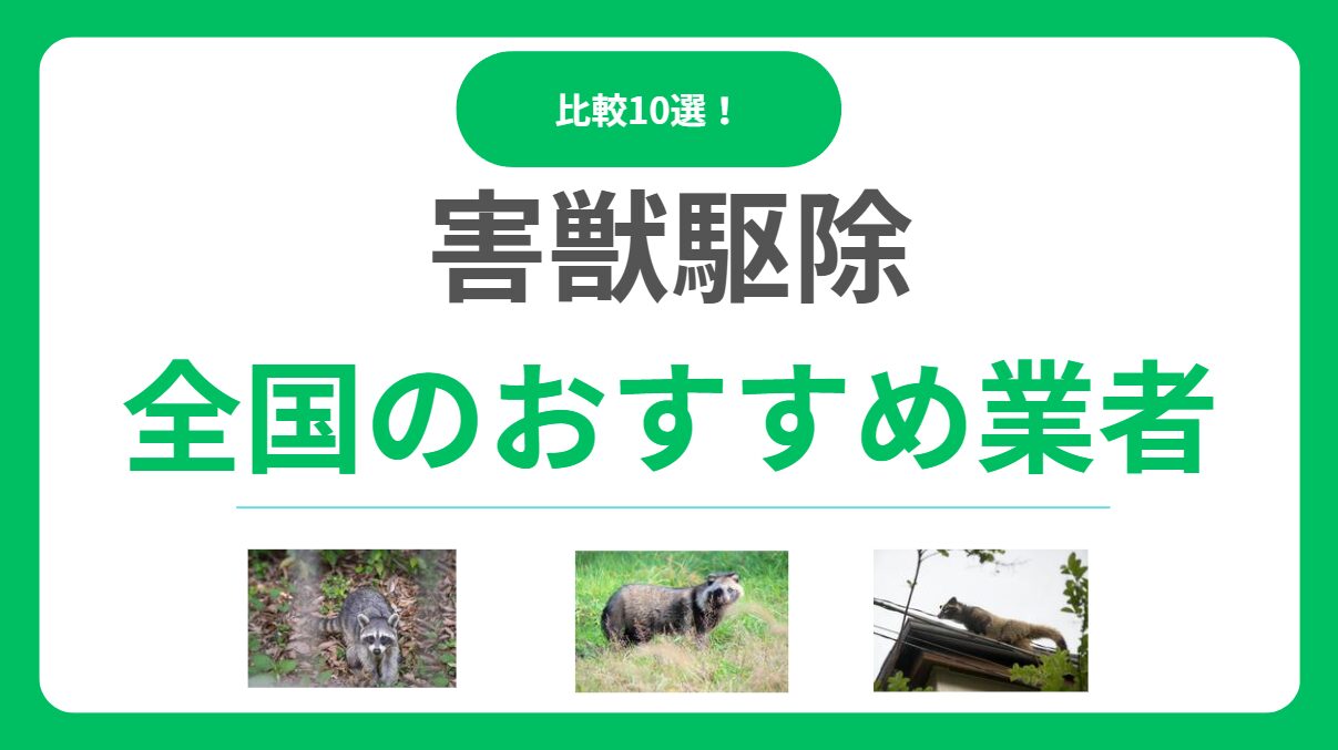 害獣駆除業者おすすめ10選！失敗しない選び方と料金相場を徹底比較！【全国対応】