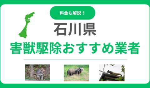 石川県の害獣駆除業者おすすめ10選！信頼できるプロの選び方と費用を解説