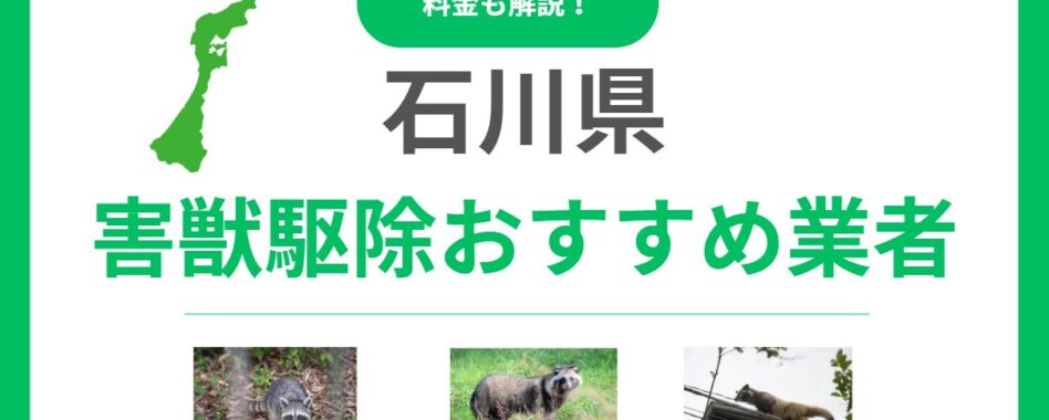 石川県の害獣駆除業者おすすめ10選！信頼できるプロの選び方と費用を解説
