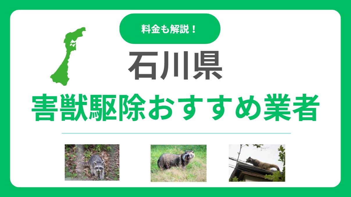 石川県の害獣駆除業者おすすめ10選！信頼できるプロの選び方と費用を解説