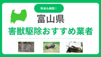 富山県の害獣駆除おすすめ業者10選｜信頼できる会社の選び方と費用相場