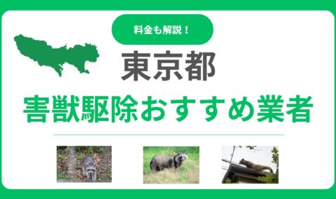 東京の害獣駆除おすすめ業者15選！料金の目安と失敗しない選び方を解説