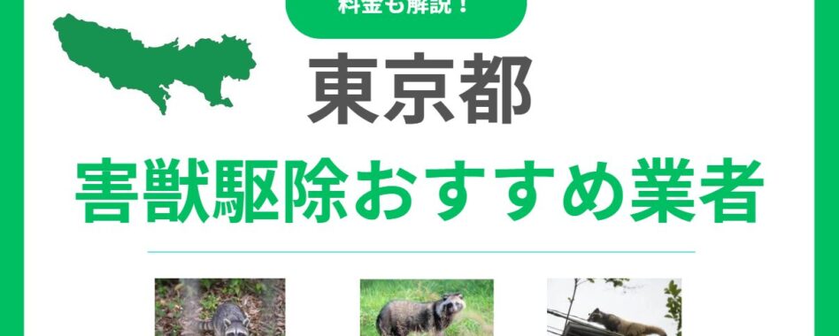 東京の害獣駆除おすすめ業者15選！料金の目安と失敗しない選び方を解説