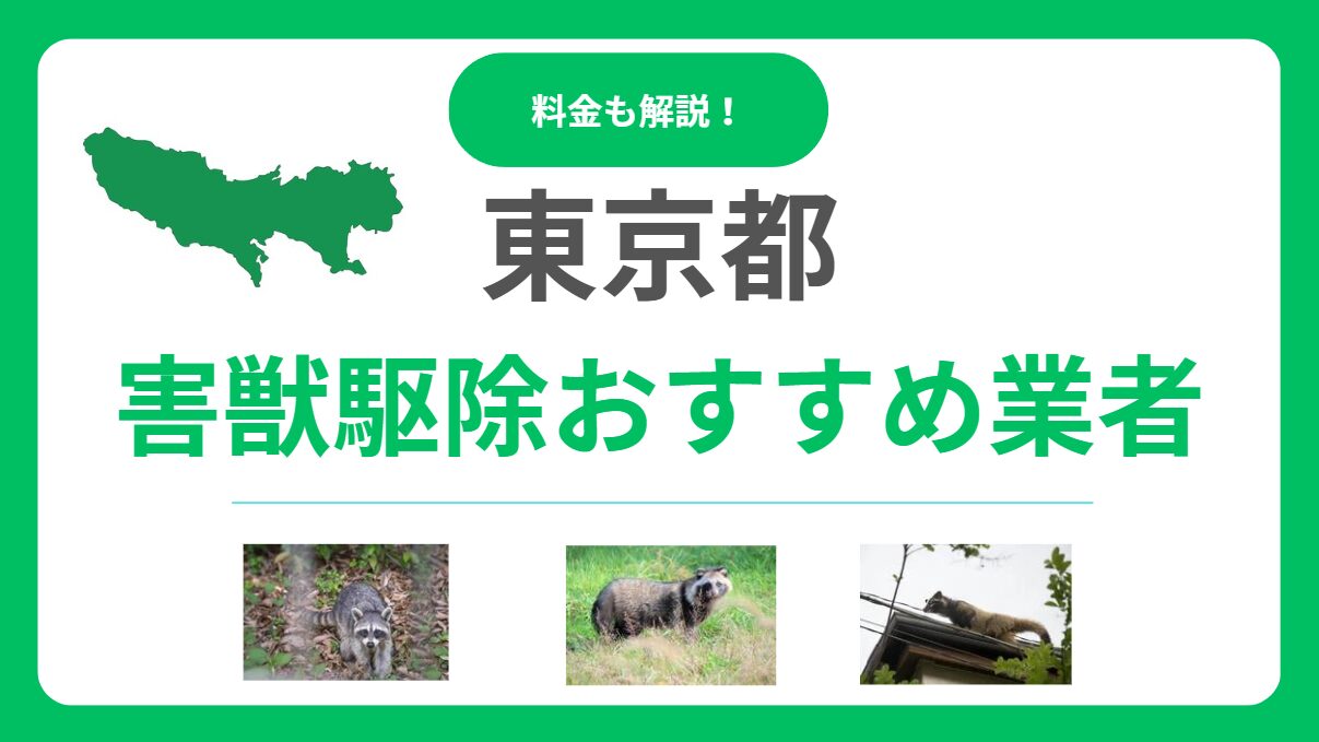 東京の害獣駆除おすすめ業者15選！料金の目安と失敗しない選び方を解説
