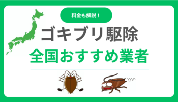 今すぐ解決！ゴキブリ駆除業者おすすめランキング！悪質業者を避ける選び方と料金相場