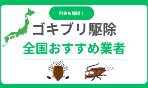 今すぐ解決！ゴキブリ駆除業者おすすめランキング！悪質業者を避ける選び方と料金相場