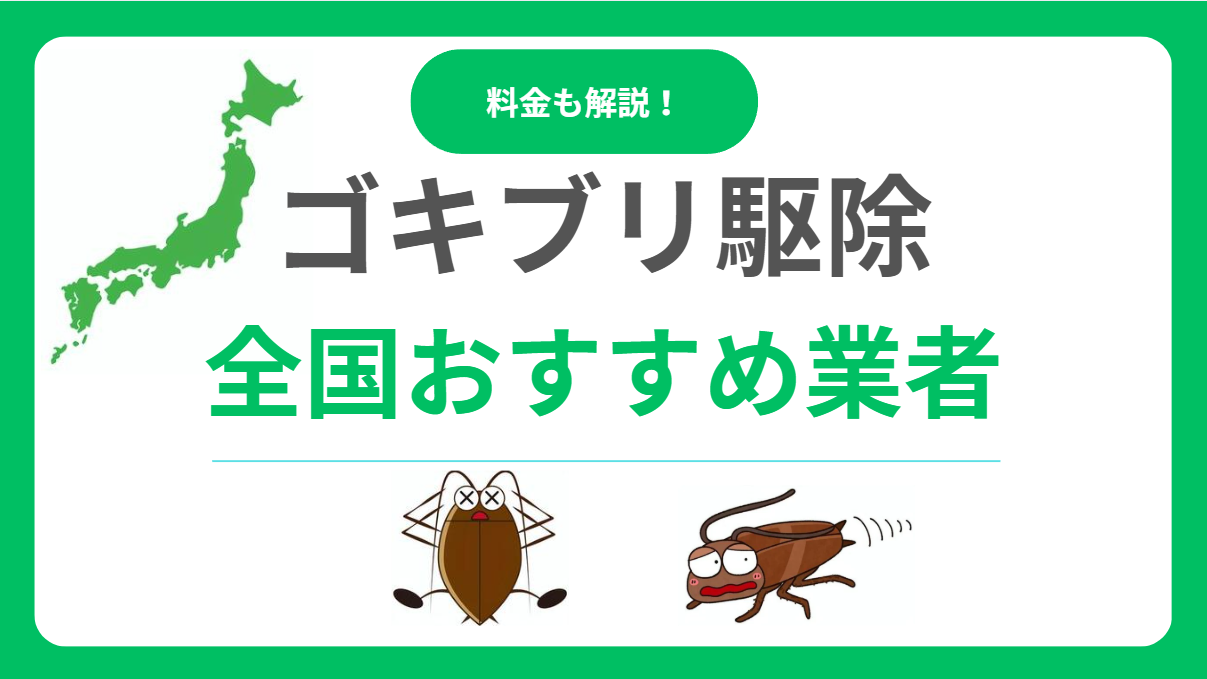 今すぐ解決！ゴキブリ駆除業者おすすめランキング！悪質業者を避ける選び方と料金相場