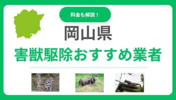 岡山県の害獣駆除業者おすすめ13選！料金相場と信頼できる優良業者の見極め方