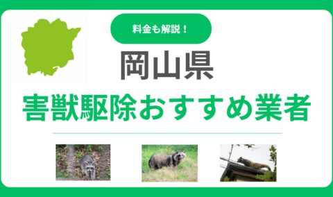 岡山県の害獣駆除業者おすすめ13選！料金相場と信頼できる優良業者の見極め方