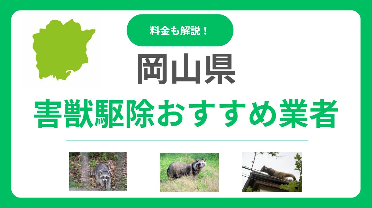 岡山県の害獣駆除業者おすすめ13選！料金相場と信頼できる優良業者の見極め方