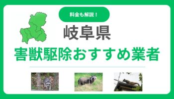 【岐阜県版】害獣駆除のおすすめ優良業者13選！料金相場と失敗しない選び方を解説