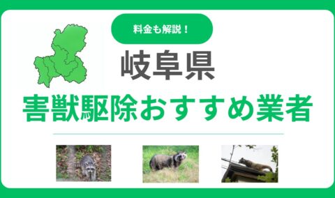 【岐阜県版】害獣駆除のおすすめ優良業者13選！料金相場と失敗しない選び方を解説