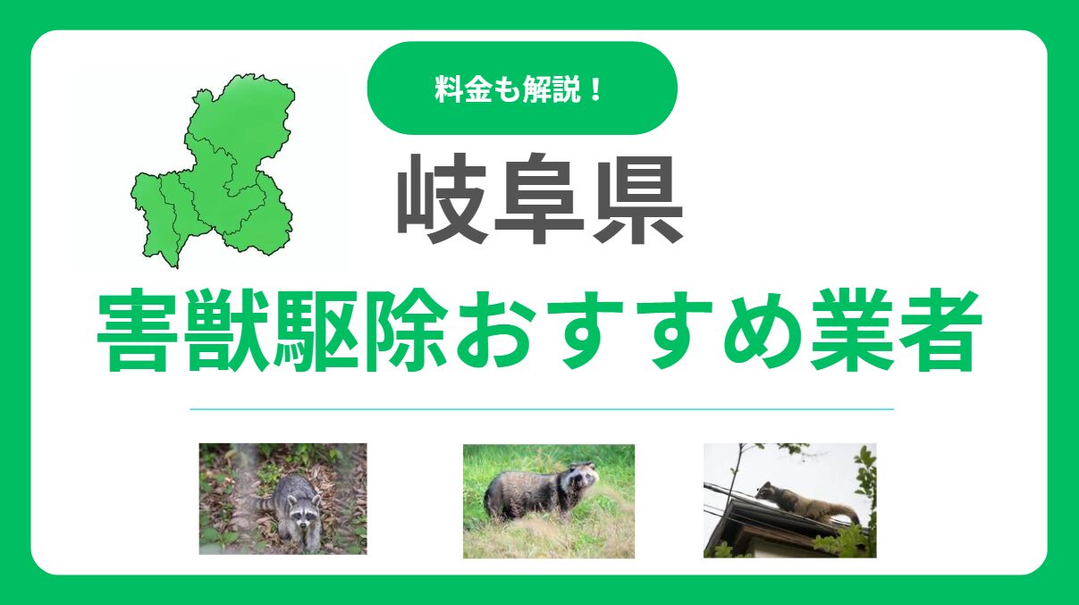 【岐阜県版】害獣駆除のおすすめ優良業者13選！料金相場と失敗しない選び方を解説