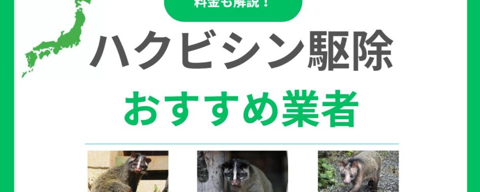 ハクビシン駆除おすすめ業者10社！評判と料金を徹底比較と悪質業者の見分け方！【全国対応】