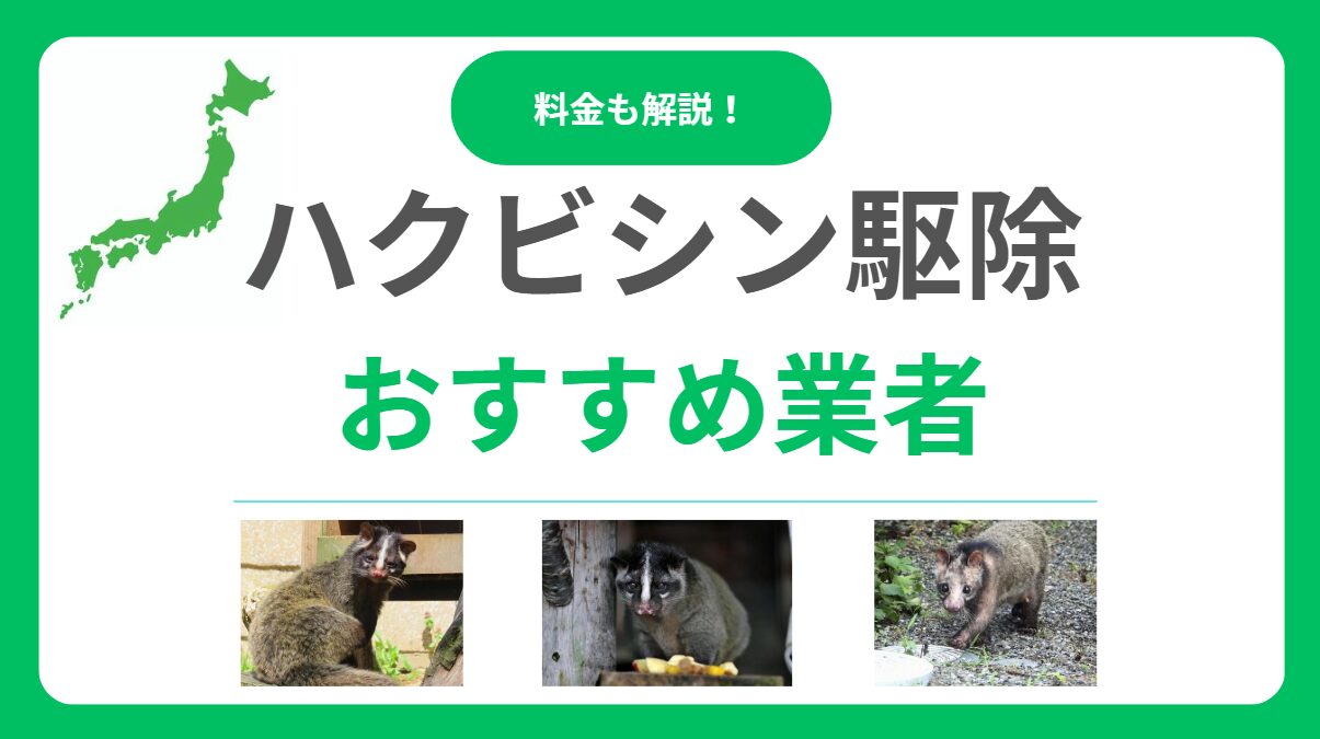 ハクビシン駆除おすすめ業者10社！評判と料金を徹底比較と悪質業者の見分け方！【全国対応】