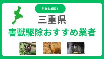 【三重県】害獣駆除のおすすめ業者10選！料金相場と失敗しない選び方