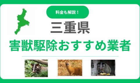 【三重県】害獣駆除のおすすめ業者10選！料金相場と失敗しない選び方