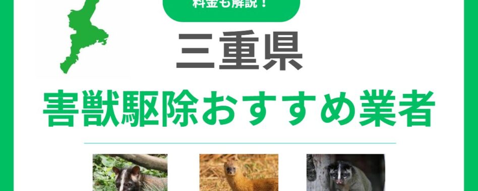 【三重県】害獣駆除のおすすめ業者10選！料金相場と失敗しない選び方