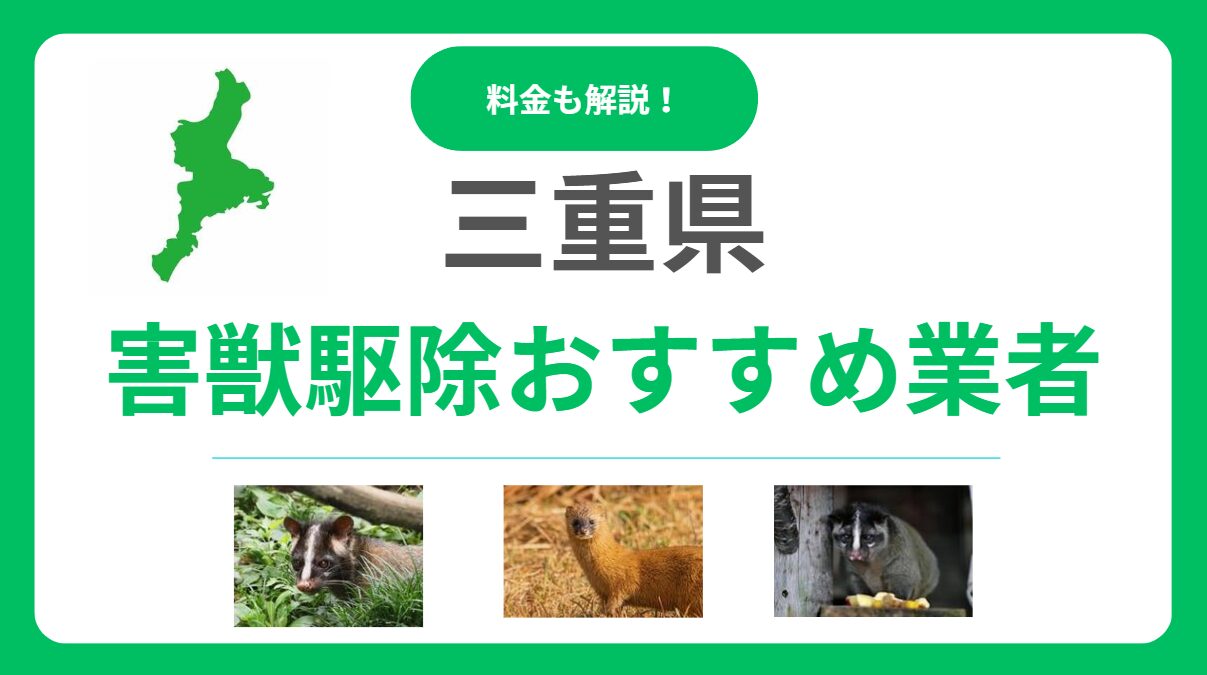 【三重県】害獣駆除のおすすめ業者10選！料金相場と失敗しない選び方