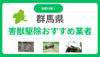 群馬の害獣駆除業者おすすめ15選！口コミから信頼できる業者選びと料金相場や選び方のコツ