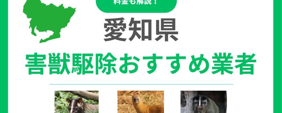 【2025年版】愛知県の害獣駆除業者を比較！料金相場と失敗しない選び方のポイント