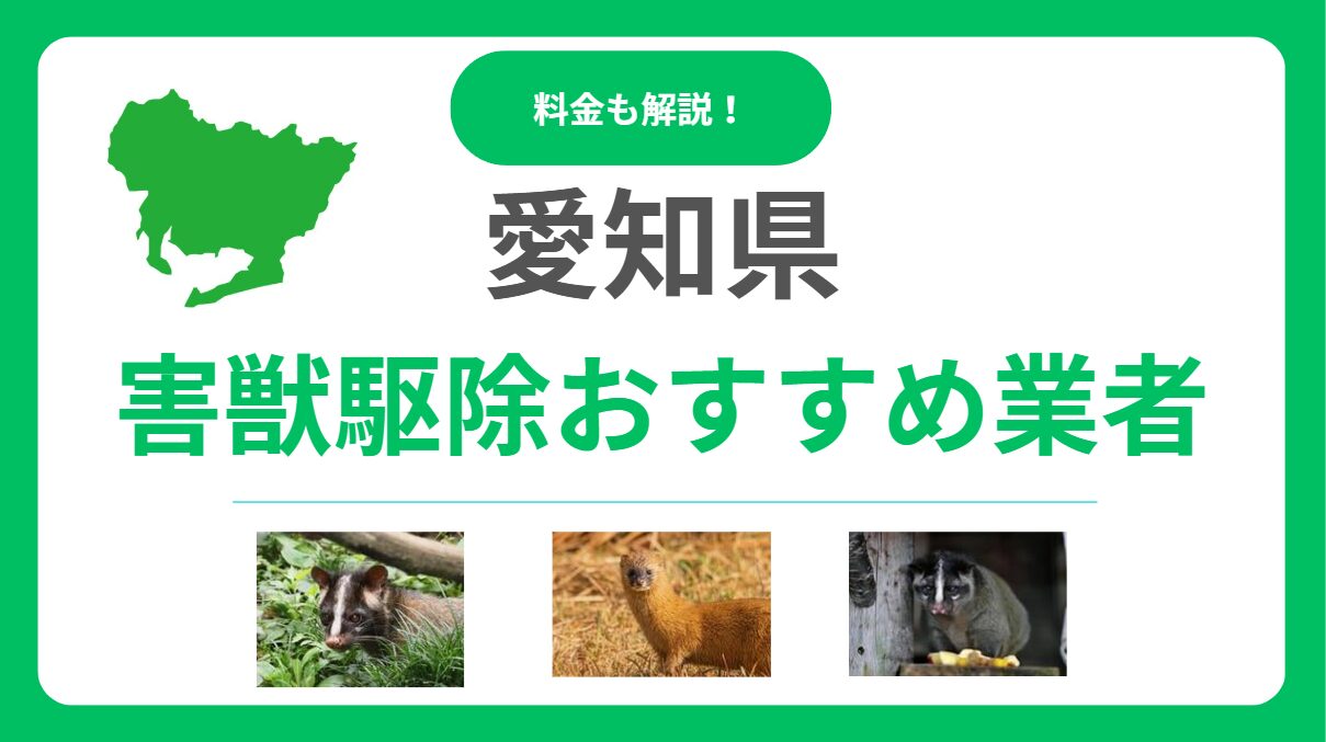 【2025年版】愛知県の害獣駆除業者を比較！料金相場と失敗しない選び方のポイント