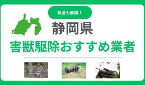 【2025年最新】静岡県のおすすめ害獣駆除業者！料金と信頼できる選び方を解説
