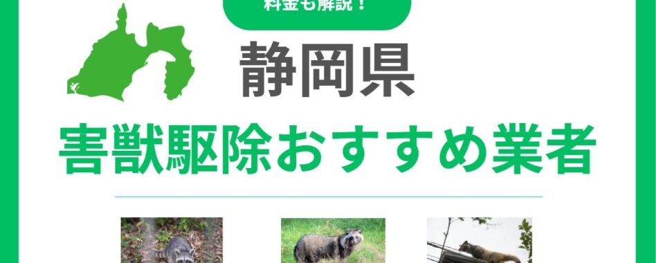 【2025年最新】静岡県のおすすめ害獣駆除業者！料金と信頼できる選び方を解説