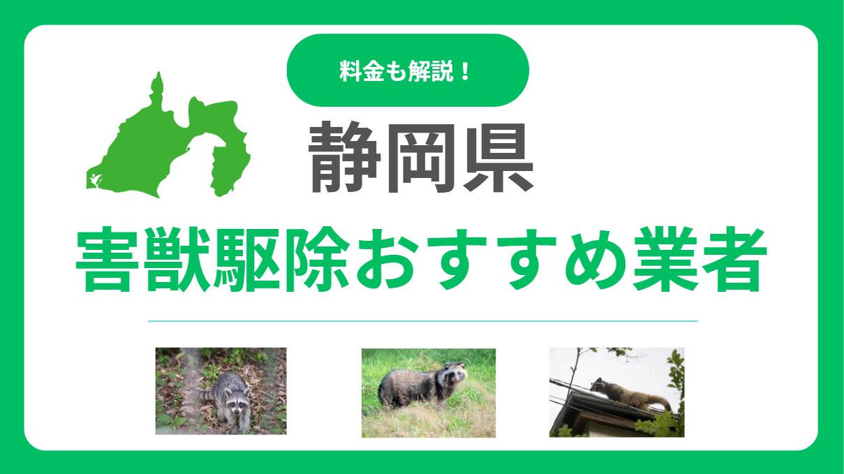 【2025年最新】静岡県のおすすめ害獣駆除業者！料金と信頼できる選び方を解説