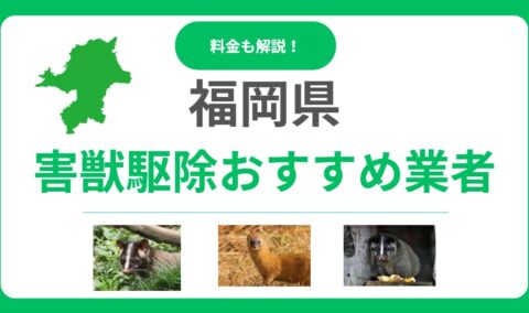 福岡県の害獣駆除業者おすすめ12選！後悔しないための比較ポイントと費用感を解説