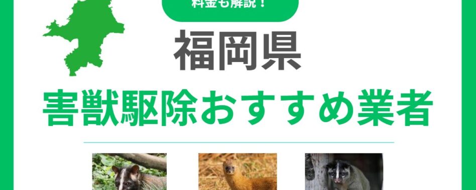 福岡県の害獣駆除業者おすすめ12選！後悔しないための比較ポイントと費用感を解説