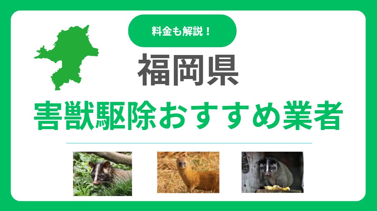 福岡県の害獣駆除業者おすすめ12選！後悔しないための比較ポイントと費用感を解説